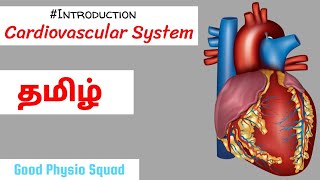 Physiology  Introduction to the Cardiovascular System in Tamil Lecture [upl. by Naneik]