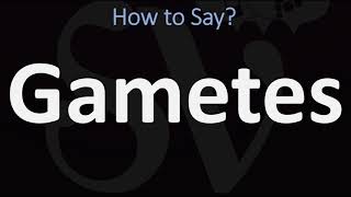 How to Pronounce Gametes CORRECTLY [upl. by Philipa310]