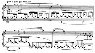 Ferruccio Busoni Sonatina No 2 Slotchiver [upl. by Oicnerual202]