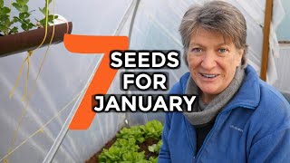 What to sow in JANUARY  7 Easy To Grow Crops [upl. by Chrisse]