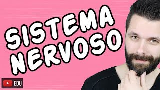 SISTEMA NERVOSO  FISIOLOGIA  Aula  Biologia com Samuel Cunha [upl. by Isolde]