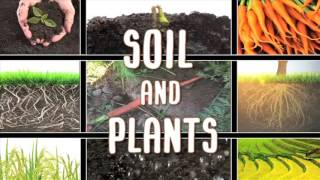 All About soil [upl. by Pirali187]