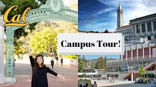 UC Berkeley Campus Tour  Showing YOU Around UC Berkeley [upl. by Rodriguez]