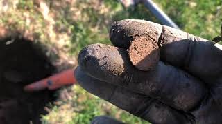 Minelab Equinox 800 Dig less nails and more coins tip [upl. by Euqirrne935]