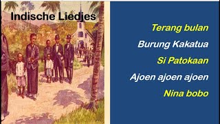 Indische liedjes 1 [upl. by Inait84]