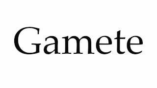 How to Pronounce Gamete [upl. by Eussoj]