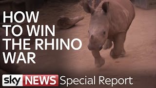 Rhino Wars Hunting Poachers In Kruger National Park  Special Report [upl. by Oinoitna442]