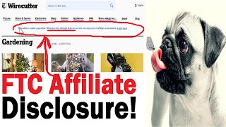 Setup Affiliate Disclaimer on Wordpress  FTC Affiliate Link Disclosure Examples [upl. by Nanon]