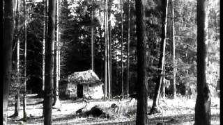 Brüderchen und Schwesterchen  1953 BRD  Ganzer Film [upl. by Anazus]