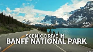 SCENIC DRIVE  Banff National Park Icefields Pkwy Alberta CANADA Travel [upl. by Havot886]