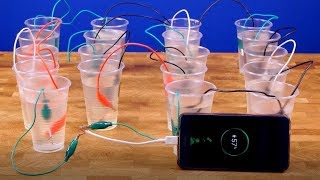 The simplest homemade battery [upl. by Ainat]