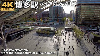 博多駅ライブカメラ目線4k Hakata station from the perspective of a live camera 2023417 [upl. by Nnayelhsa667]