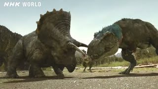 Tyrannosaurus vs Triceratops  DINOSAURS [upl. by Nhguavahs]