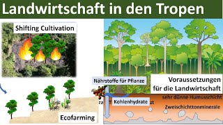 Landwirtschaft in den Tropen Zusammenfassung  Erdkunde Oberstufe Abitur [upl. by Svend]