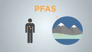 What are PFAS compounds and how can they affect human health  AKPM News [upl. by Matazzoni]