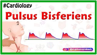 Pulsus bisferiens  USMLE  Cardiology [upl. by Caty]