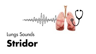 Stridor  Lung Sounds  MEDZCOOL [upl. by Henleigh]