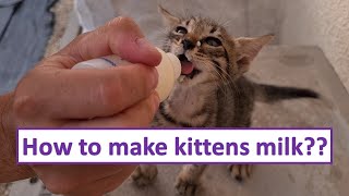 How to make homemade kitten milk  Kitten food [upl. by Onileba]