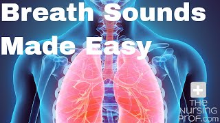 Simple Nursing Breath Sounds Made Easy [upl. by Sokairyk]