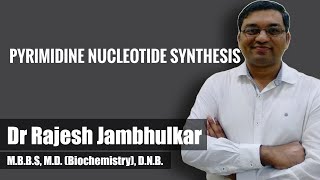 Pyrimidine nucleotide synthesis and degradation [upl. by Chuipek]