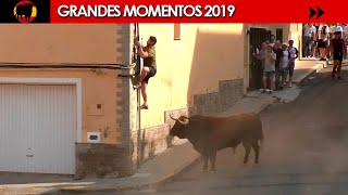 🤩 GRANDES MOMENTOS de 2019 · Tercera parte [upl. by Fonz103]