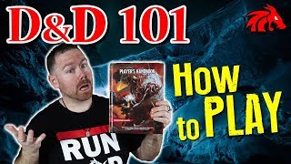 DampD 101  How to Play Dungeons and Dragons [upl. by Waltner943]