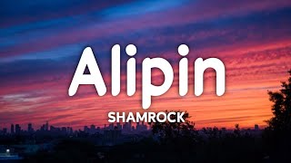 Shamrock  Alipin Lyrics☁️  Akoy alipin mo kahit hindi batid TikTok Song [upl. by Romelda]