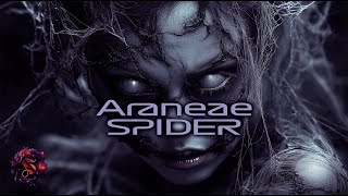 Araneae SPIDER [upl. by Notanhoj]