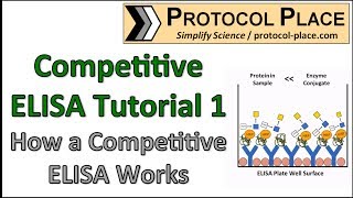 Competitive ELISA Tutorial 1 How a Competitive ELISA Works [upl. by Llahsram672]