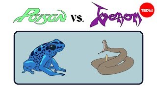 Poison vs venom Whats the difference  Rose Eveleth [upl. by Stoll]