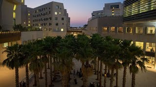 NYU Abu Dhabi Campus Tour [upl. by Meekah67]