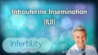 Intrauterine Insemination IUI [upl. by Staffan]