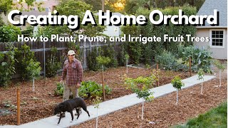 How to Plant Prune and Irrigate Fruit Trees EVERYTHING YOU NEED TO KNOW [upl. by Merola]