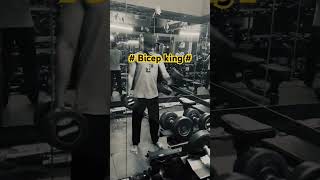 Biceps  gym fitness mcstan [upl. by Yssis379]