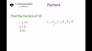 Factors  Primary [upl. by Hadsall]