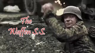 The Waffen SS Intense Combat Footage [upl. by Yelwar683]