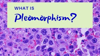 What is Pleomorphism  Pathology mini tutorial [upl. by Kennedy]