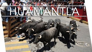 HUAMANTLA  Casi nos llevan los toros [upl. by Aksoyn]