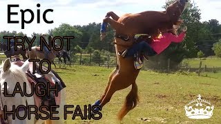 Try not to laugh  horse fails [upl. by Painter689]