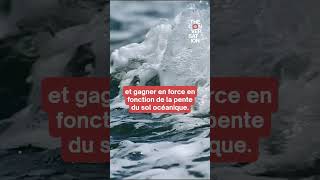 Comprendre la formation des vagues et comment les surfeurs les domptent [upl. by Ahsenwahs293]