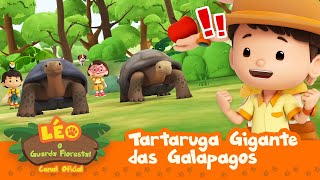 TartarugaGigantedasGalápagos  Leo O Guarda Florestal  Minisode  Animação [upl. by Ranzini]