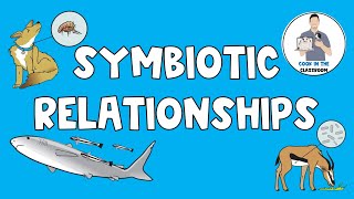 Symbiotic Relationships [upl. by Marquita96]