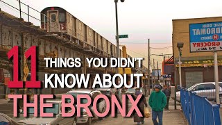 11 Things You Didnt Know About THE BRONX [upl. by Setiram475]