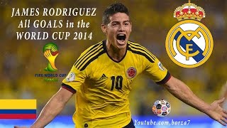 James Rodriguez All 6 Goals World Cup 2014 HD720 [upl. by Eelarual]