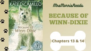 BECAUSE OF WINNDIXIE Chapters 13 amp 14 Read Aloud [upl. by Bethesde131]