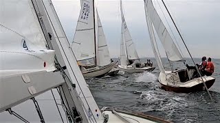 Nordic Folkboat 2020  Race 1 [upl. by Eifos]