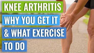 Arthritis Foundation Exercise Full Body Workout for OA  Dr Alyssa Kuhn PT [upl. by Enilorak]