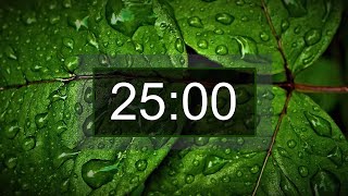 Countdown timer 25 minutes with relaxing music for concentration [upl. by Hasan]