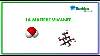 La matière vivante  Biochimie [upl. by Airres]