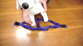 PetChampion  Step in Harness How To [upl. by Pesvoh]